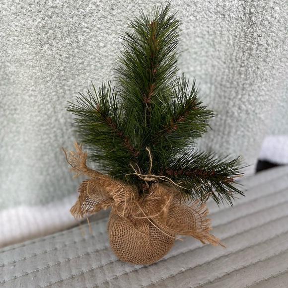 🧡 Tree Home Decor Farmhouse Plants Country BUNDLE DEALS - Picture 4 of 8